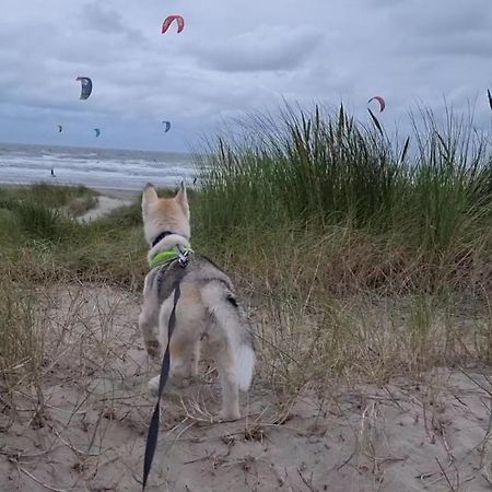 科克赛德Surfin别墅 外观 照片